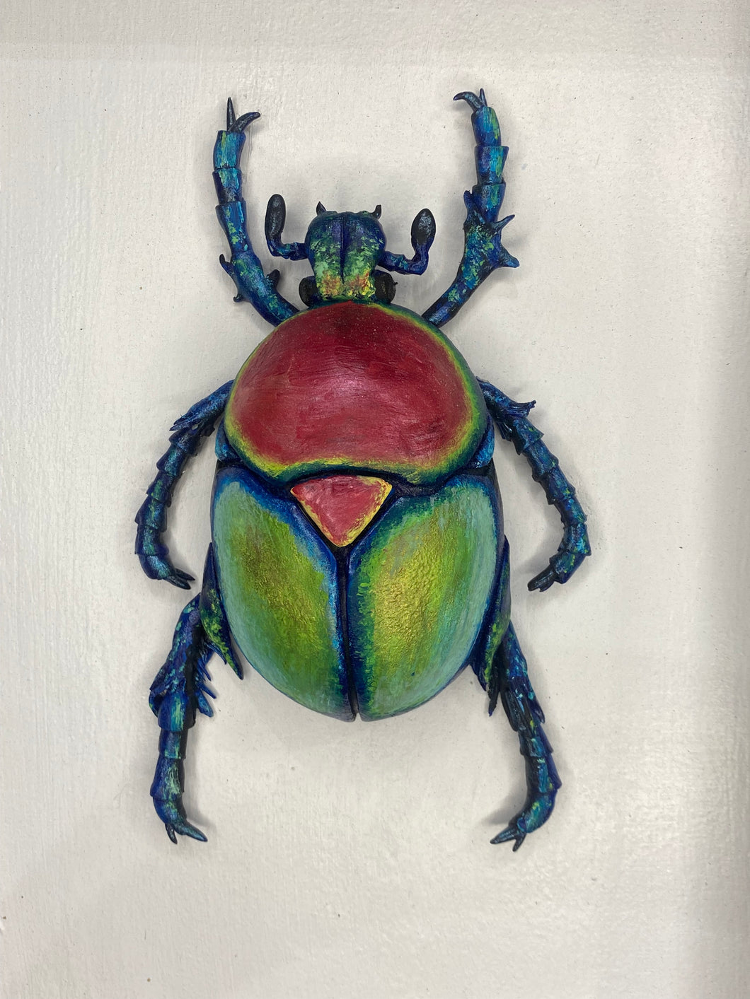 Gourd Beetle