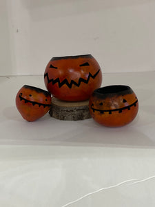 Mini Pumpkin Gourd Workshop 1 Sept 30 @12pm