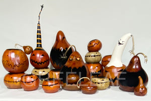 PUMPKINS - Gourd portraits