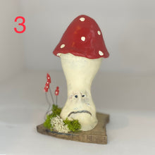 Load image into Gallery viewer, Grumpy Mushrooms
