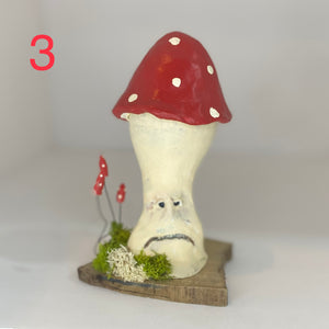 Grumpy Mushrooms
