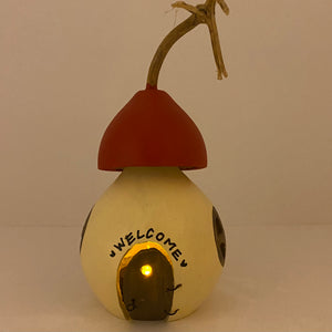 Mini Gourd Home