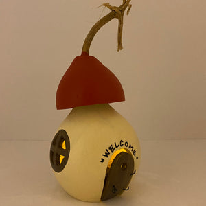 Mini Gourd Home