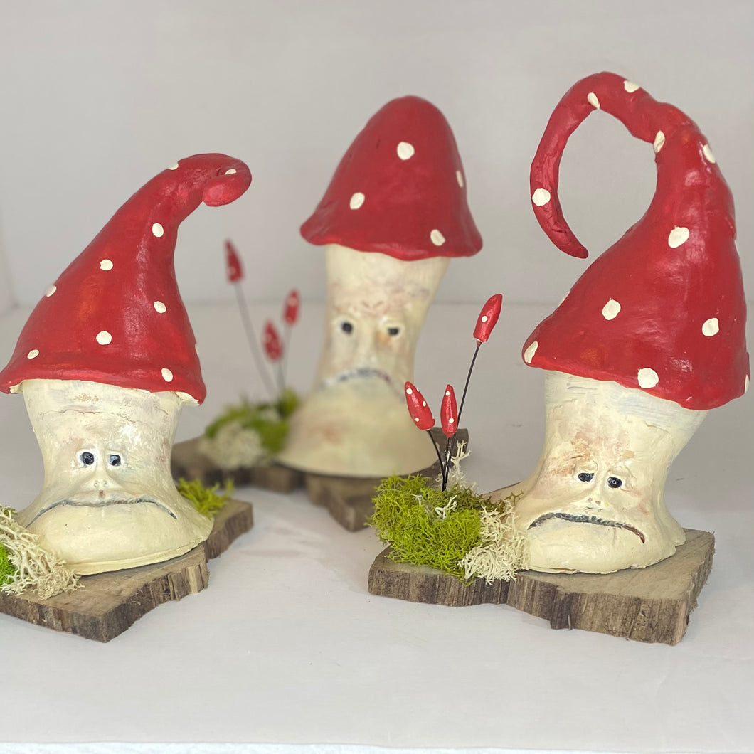 Grumpy Mushrooms