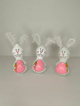 Load image into Gallery viewer, Easter Bunny Gourds Small
