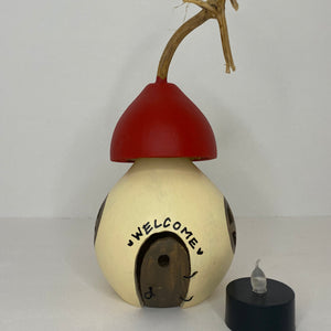 Mini Gourd Home